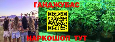 крисы Можайск