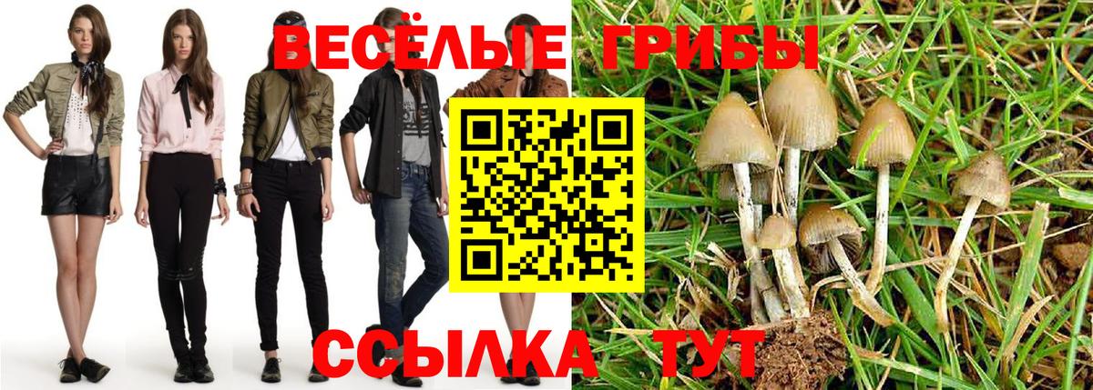 Гудермес  Галлюциногенные грибы мухоморы  закладки  Вход с VPN 